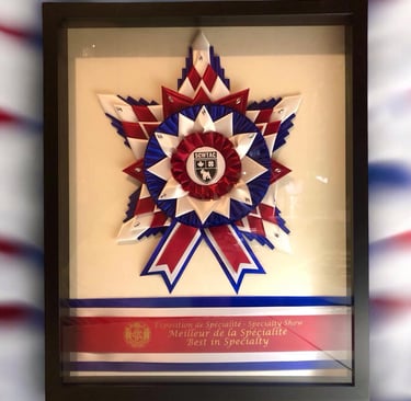 Feuille d'érable, une STAR pour votre spécialté.