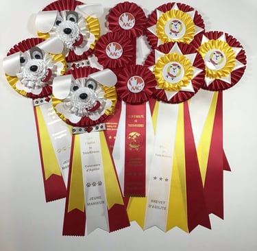 Face de chien à l'effigie de votre logo de club, très populaires pour les jeunes manieurs.