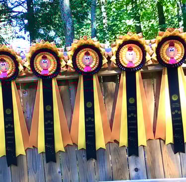 Dindons! approx. 9'' de large et 24'' de long total.