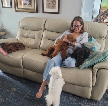 Woman on couch, with 3 dogs which are overnight boarding customers