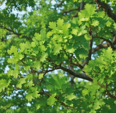 Three white plastic bottles of dietary supplements with labels. Two bottles are upright on a wooden surface, while the third is balanced on top. The background features green grass and trees in soft focus.