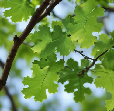 A container of GoldTouch Nutrition's Crea Mix supplement is positioned among colorful weight plates. The container features vibrant colors and text highlighting '10 types of creatine' with claims of being fast-acting and long-lasting. The weight plates are numbered 5, 10, and 15 in yellow, red, green, and blue colors and are arranged around the supplement container.