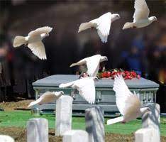 dove release at a funeral service