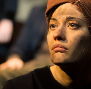 Caroline Delemontex, Grand'peur et misère de IIIème Reich - Referendum