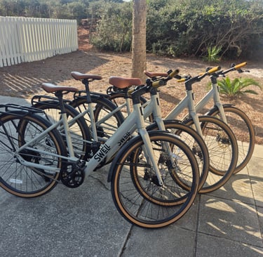 e-bike rental 30a Miramar Beach Florida Sweet Escape Rentals