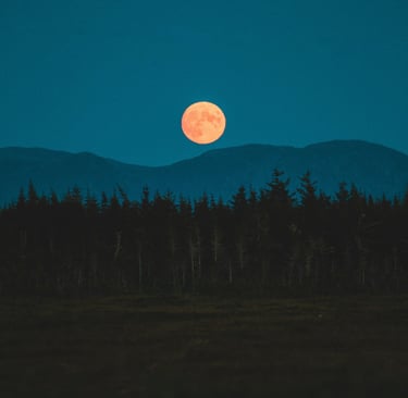 Lua cheia sobre uma floresta silenciosa – evocação do sagrado natural.