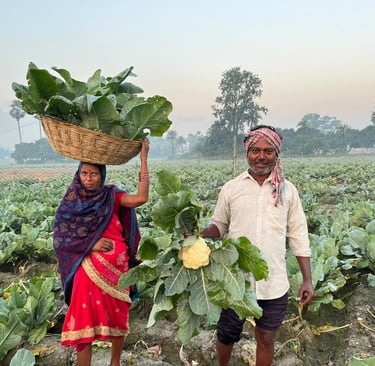 a man and woman standing in a field with a NXG Delight Cauliflower basket on top of a