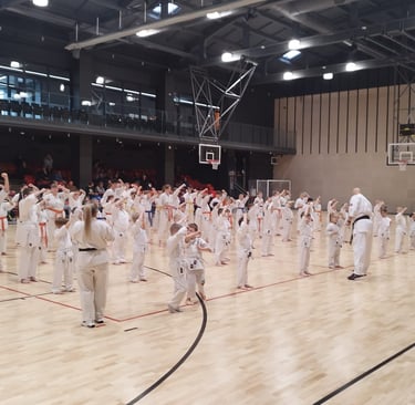 Akimirka iš kvalifikacinių diržų egzamino 2025 metais