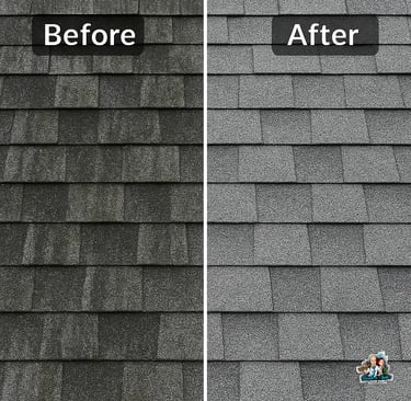 Roof cleaned by Bonnie and Clyde's Pressure Washing in Corsicana, TX