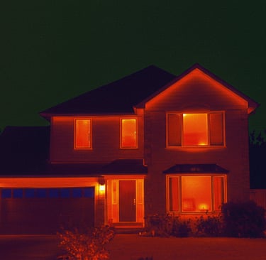 Thermal image of home