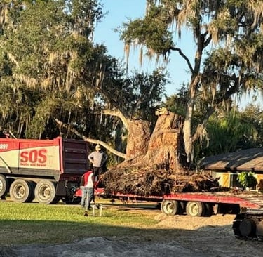 Huge stump was in the way. Removed by SOS Septic and Sewer