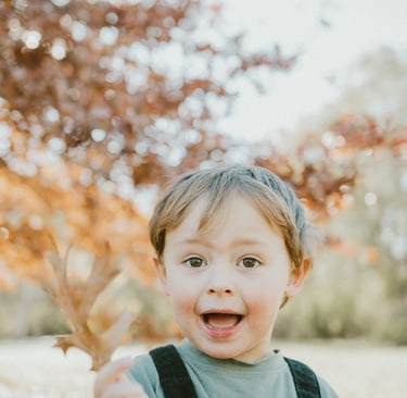 young boy showing autumn leaves in Adelaide Hills in a candid photo session