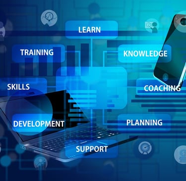Leadership mentoring