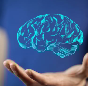 a person holding a hand with a brain map of a brain