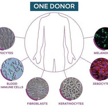 High quality research human cells from CTIBIOTECH biobank biosourcing