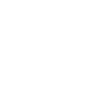 Proyecto conceptual y proyecto ejecutivo