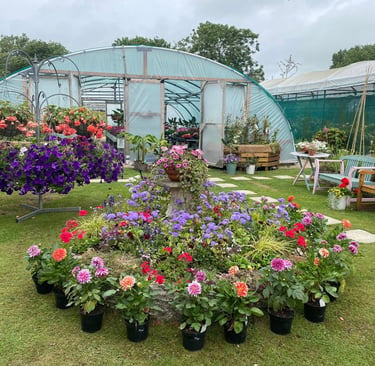 Island Gardens nursery and café in Church Street Upwey