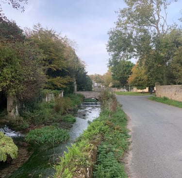 Looking towards Stottingway Street and the bridge over the River Wey leading to Westbrook House