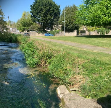 Bank of River Wey after cutting down brambles and nettles near Upwey Manor