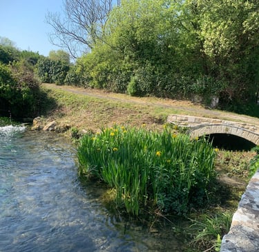 Upstream view of River Wey near the ford at Mill Street Upwey
