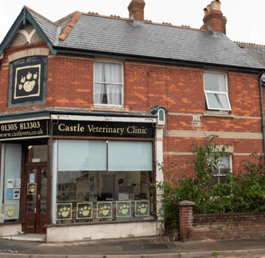 Castle Vets in Upwey, 624 Dorchester Rd Weymouth DT3 5LH