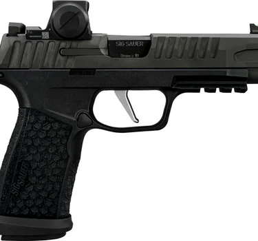 Sig P365 Fuse