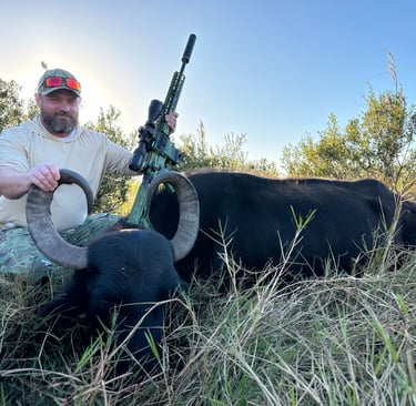 JD Malone with Water Buffalo