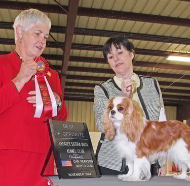 Shelly & AVA at the dog show