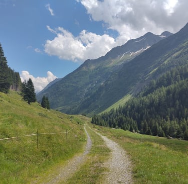 The old Susten Pass Road making its way down valley
