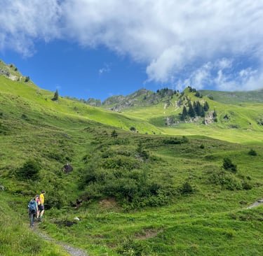 Looking up from Planalp at the Brienzer Rothorn Ridgeline