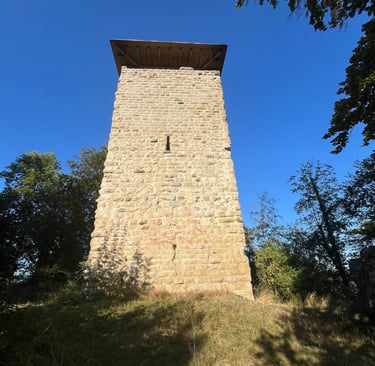 Burg Ruine Alt Wülflingen