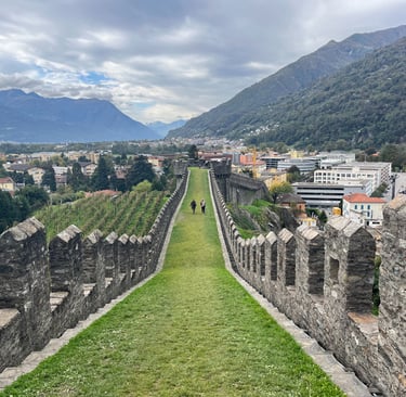 The Murata going through Bellinzona
