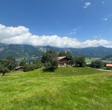 Pasture land outside of Giessbach