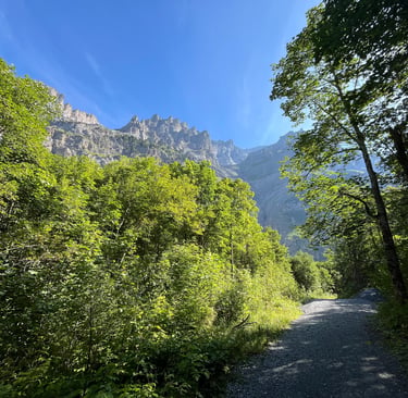 Mountain views from the trail through the Gasterntal