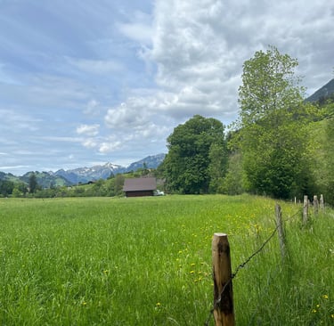 Views along the path from Ringoldingen to Erlenbach im Simmental