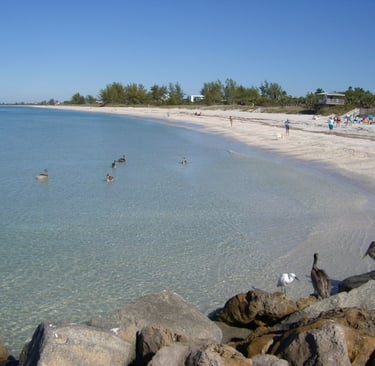 swimmers at the Beach in nokomis fl