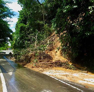 Landslip Risk Assessments