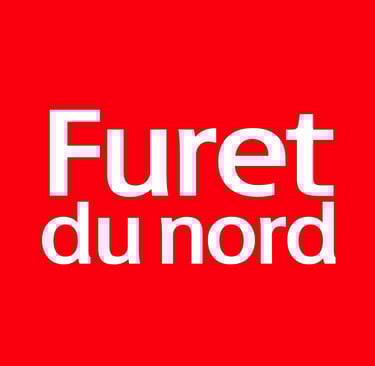 Redirection vers Furet du Nord