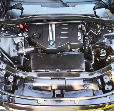 cosmetizare motor bmw