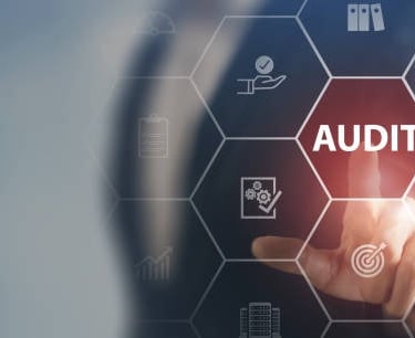 " ISO internal Audits by an external Lead Auditor QMS, EMS, OHSMS, FSMS, ISMS, BCMS, EnMS"