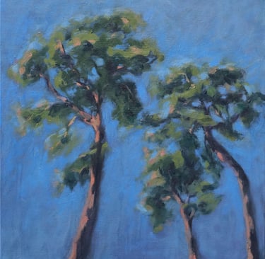 sybille ingold peintre pins sylvestres foret de fontainebleau