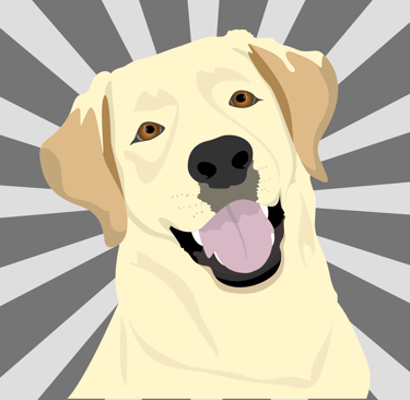 labrador pop art