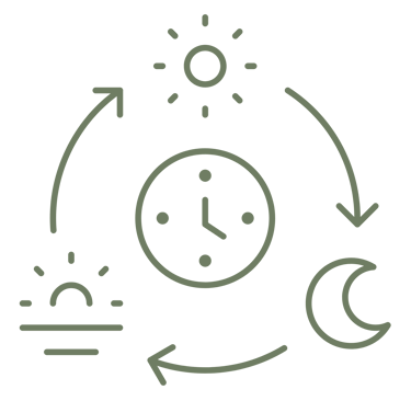 Green line icon showing a circadian rhythm cycle with clock, sun, and moon symbols.