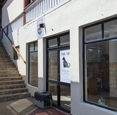 clinic entrance vet dr. peter diani beach
