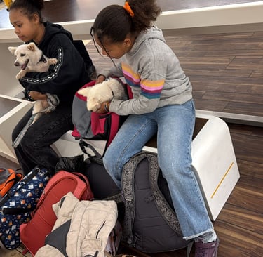 two girls sitting on luggage bags with their little dogs 
