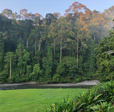 A view from Borneo Rainforest Lodge, Danum Valley
