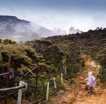 Ascending Mount Kinabalu