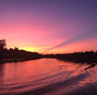 Kinabatangan River evening cruise