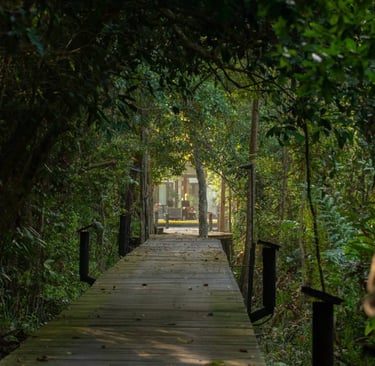 A lovely view at the luxurious Kinabatangan Wetlands Resort