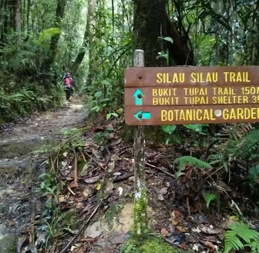 Nature trails at Kinabalu Park